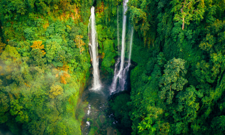 Banyumala Waterfall - North Trip - home