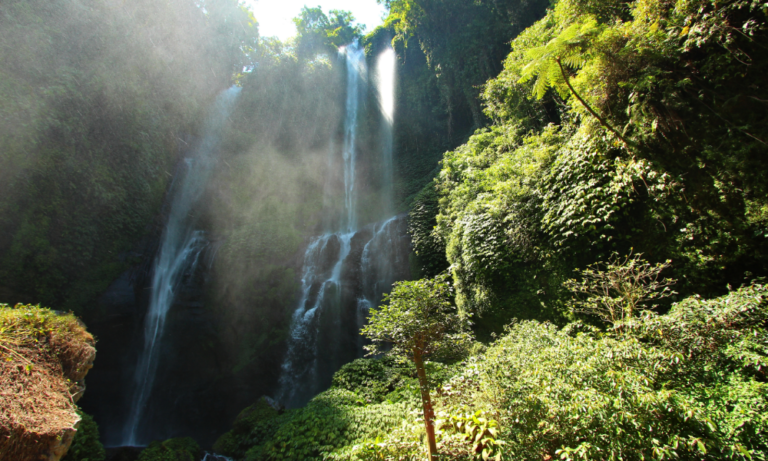 Banyumala Waterfall - North Trip