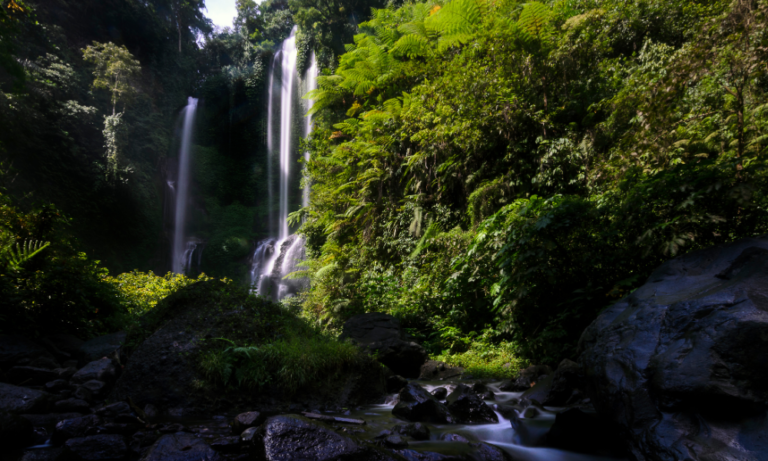 Banyumala Waterfall - North Trip